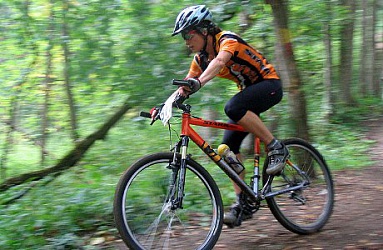 История 2008-11.jpg